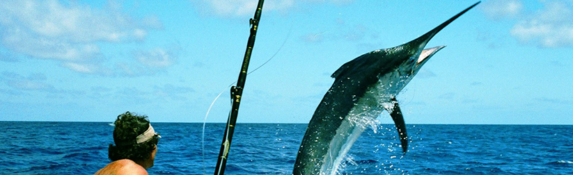 Mauricius rybolov