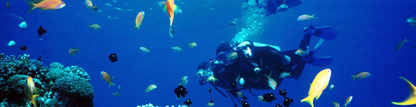 potápění na Mauriciu